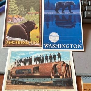 Postcards of Bears and Washington State​